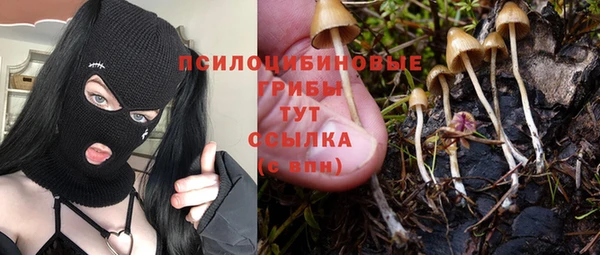 mdpv Приозерск