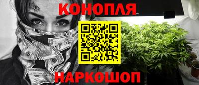 крисы Дубна