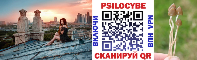 Псилоцибиновые грибы Psilocybine cubensis  kraken как войти  Лобня 