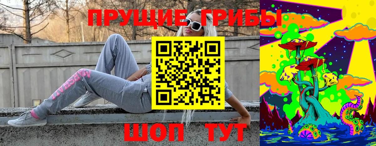 Галлюциногенные грибы Psilocybine cubensis Лобня