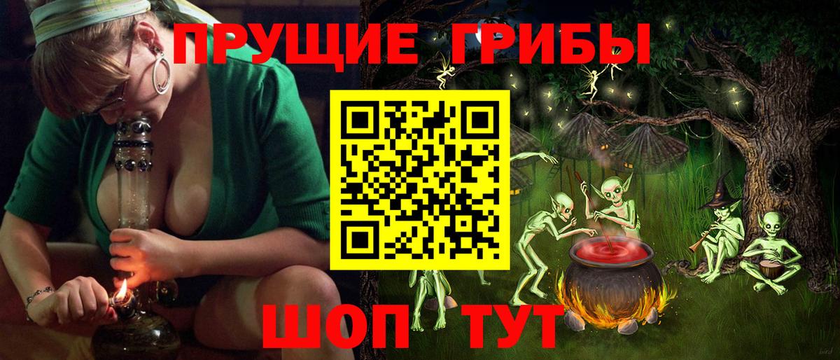 Псилоцибиновые грибы Psilocybine cubensis  Галлюциногенные грибы GOLDEN TEACHER  Лобня  Вход с VPN 